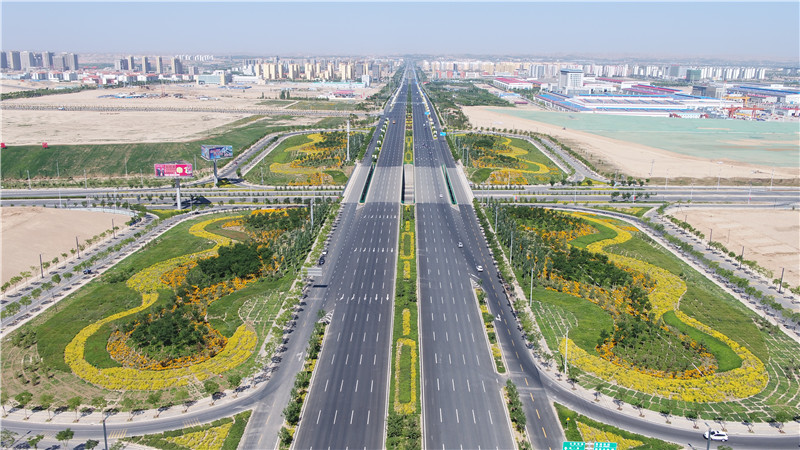 蘭州新區緯一路動延長段道路工程項目.JPG